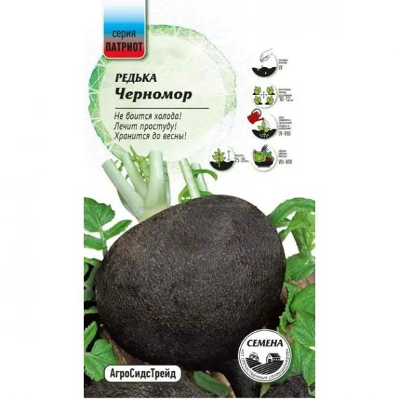Семена АСТ Редька Черномор 1г