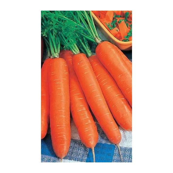 Семена АСТ Морковь Хрустящее счастье 1,5г