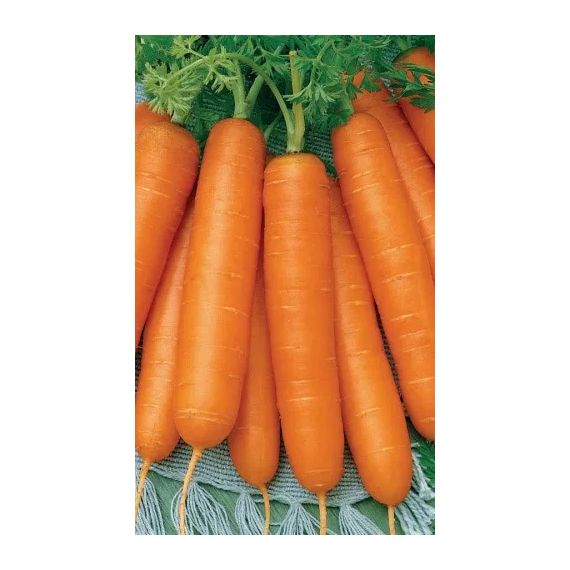 Семена АСТ Морковь Несравненная 2г