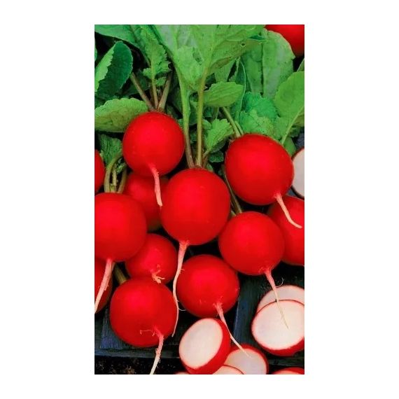 Семена АСТ Редис Вишневый хруст 2г