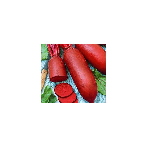 Семена АСТ Свекла столовая Славянка 2г