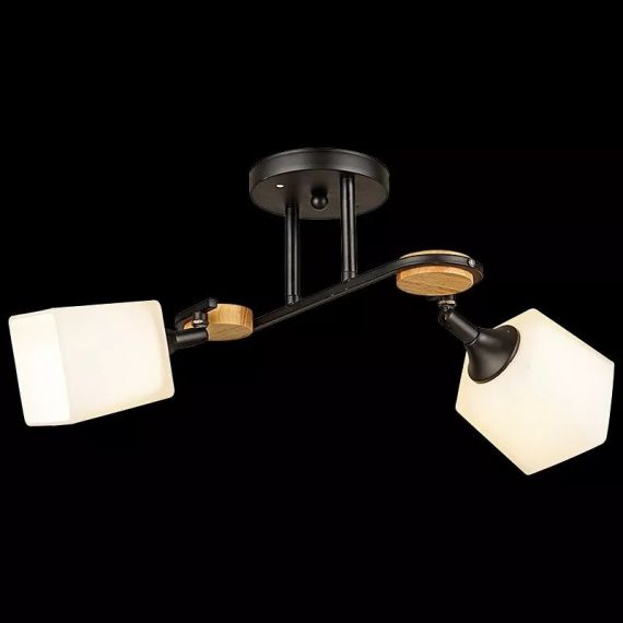 04217-0.3-02 ВК светильник потолочный