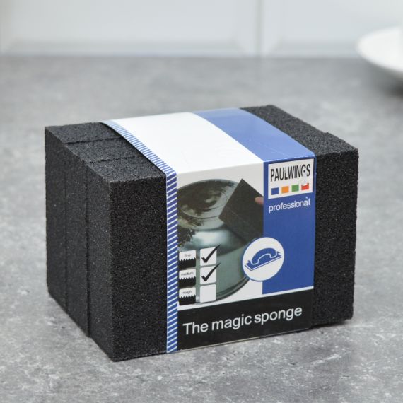 Губки абразивные 10*7*2,5см, (3шт) NNATA250/ 522928