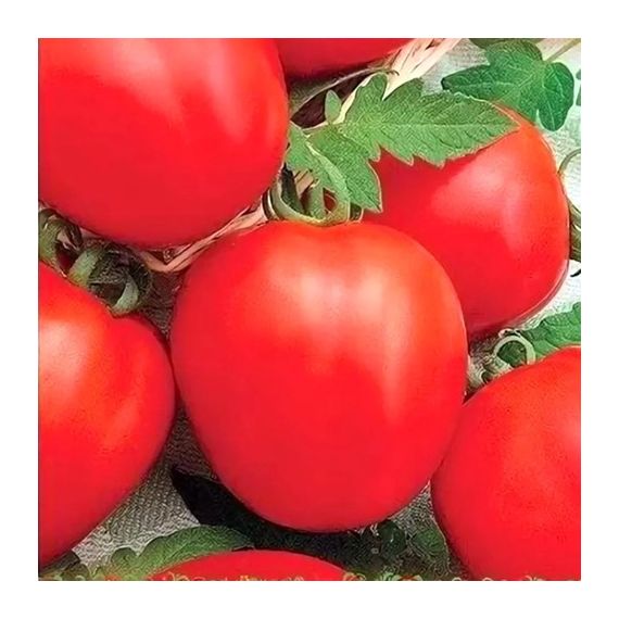 Семена АСТ Томат Скарлетт F1 5шт