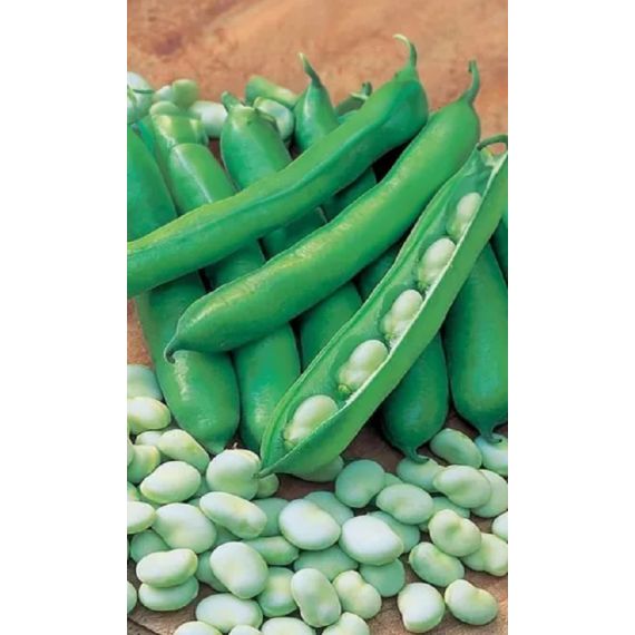 Семена АСТ Бобы Русские черные 10шт