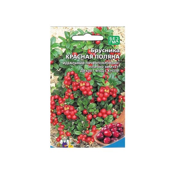 Семена Уральский Дачник Брусника Красная поляна 20шт