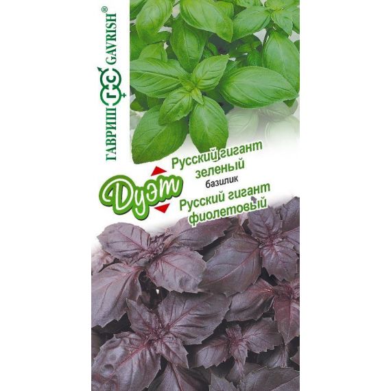 Семена Гавриш Базилик Русский гигант зеленый+ Русский гигант фиолетовый 0,2г дуэт