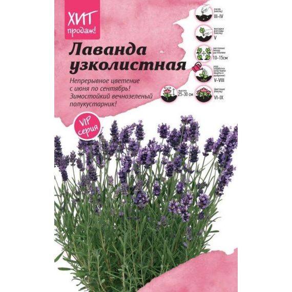 Семена АСТ Лаванда узколистная Элеганс Пурпл 6шт