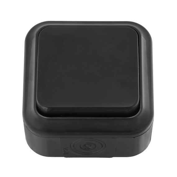 Выключатель 1кл. А16-222 о/п IP54 черный Пралеска Аква 06612