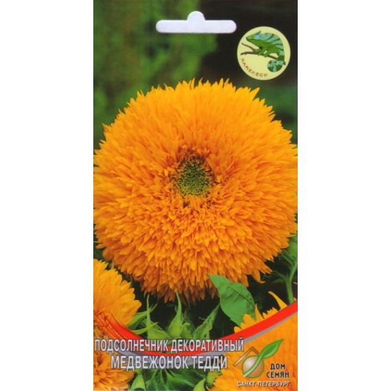 Семена Дом Семян Подсолнечник декоротивный Медвежонок Тедди 13шт