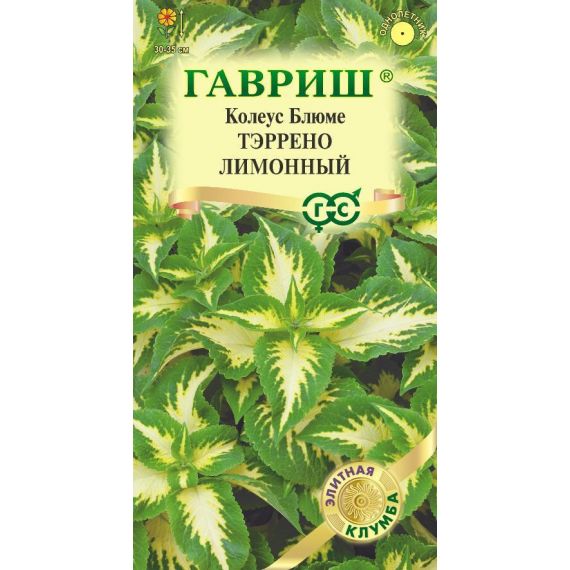 Семена Гавриш Колеус Блюме Тэррено лимонный 4шт