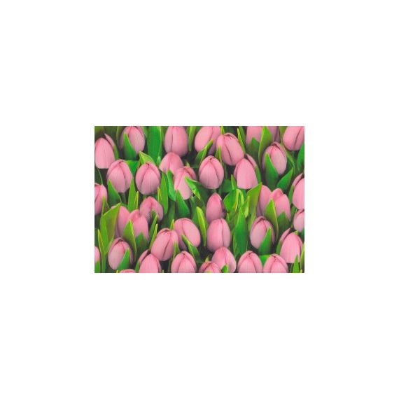 Обои винил 416723 W Ambiente Тюльпан роз. 0,53*10