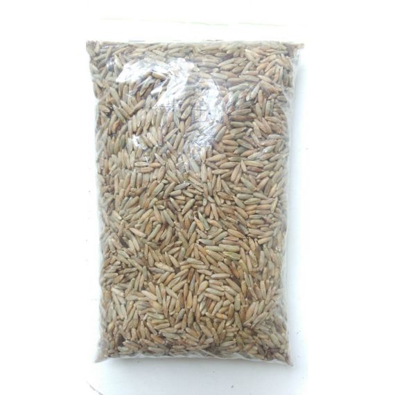 Рожь 1кг сидерат