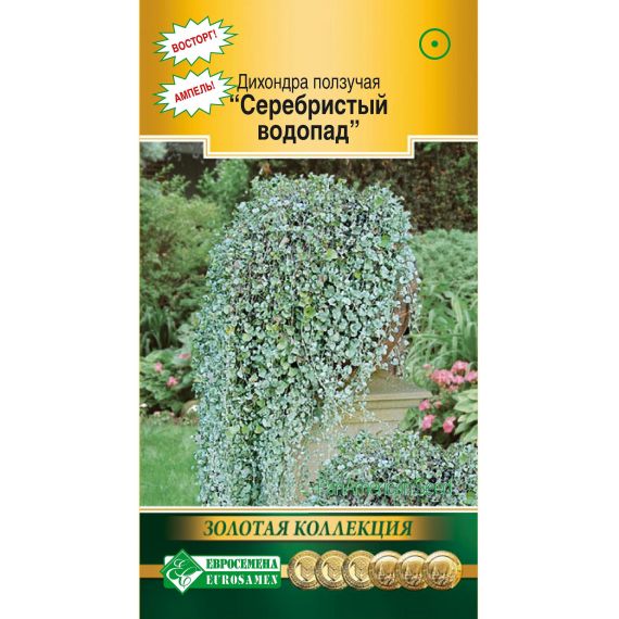 Семена Евросемена Дихондра ползучая Серебристый водопад 3шт