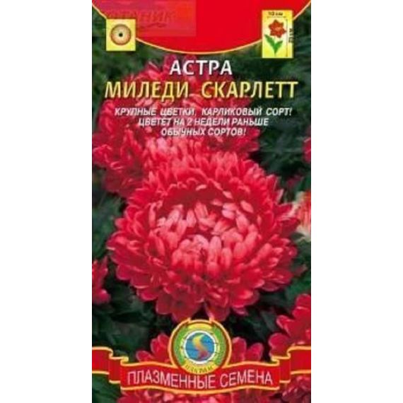 Семена Плазменные Семена Астра Миледи Скарлетт 0,1г