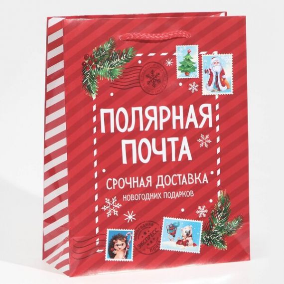 Пакет ламинированный 18*23*8см