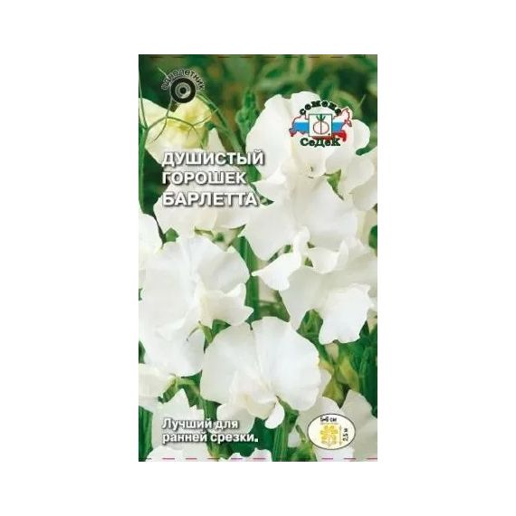 Семена СеДеК Горшек душистый Барлетта 1г