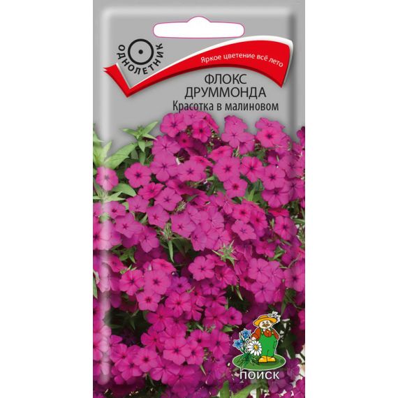 Семена Поиск Флокс друммонда Красотка в малиновом 0,1г