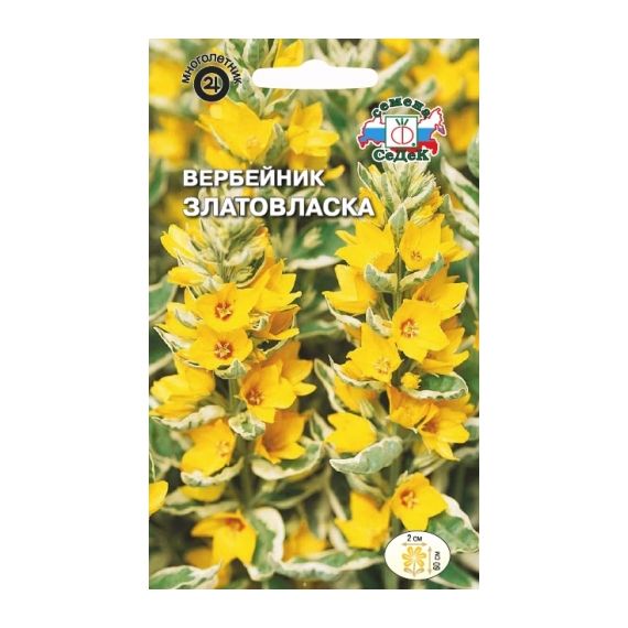Семена СеДеК Вербейник точечный Златовласка 0,1г