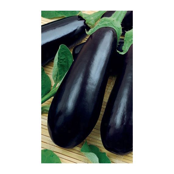 Семена Уральский Дачник Баклажан Галич 20шт