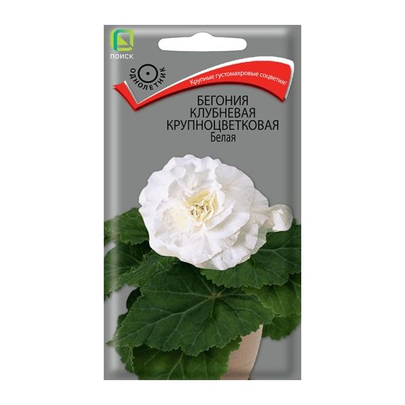 Семена Поиск Бегония Белая 5шт