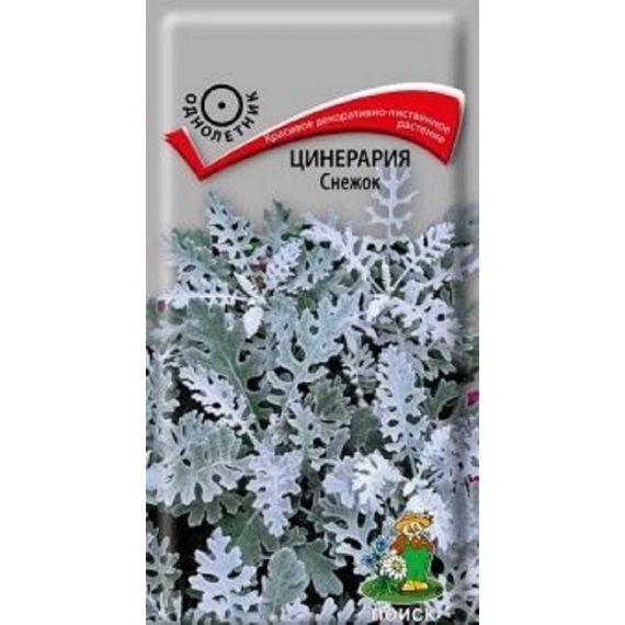 Семена Поиск Цинерария Снежок 0,1г