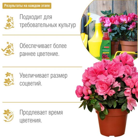 Bona Forte удобрение (азалии,вересковые) 285мл  07090/539-1/BF21010231, изображение 4