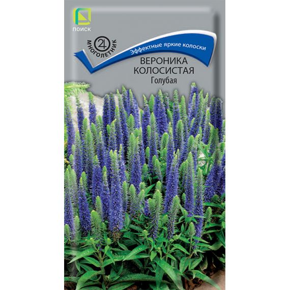 Семена Поиск Вероника колосистая Голубая 0,1г