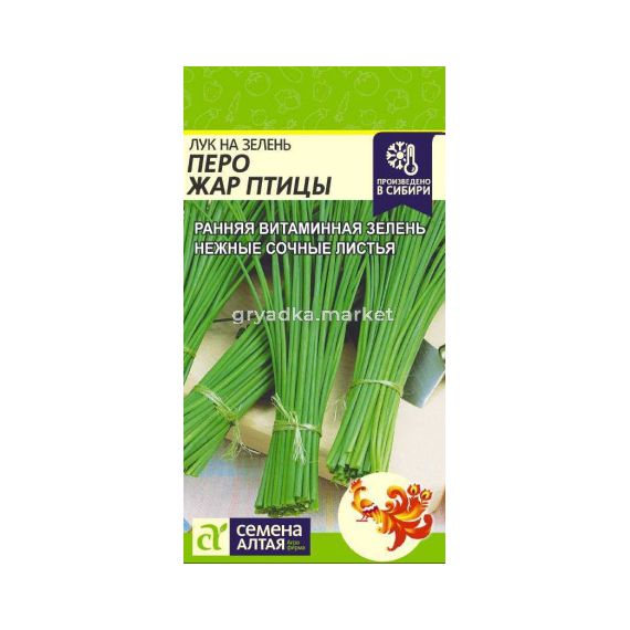 Семена Алтая Лук на зелень Перо Жар-Птицы 0,5г