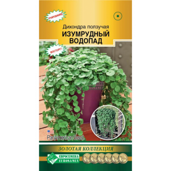Семена Евросемена Дихондра ползучая Изумрудный водопад 3шт
