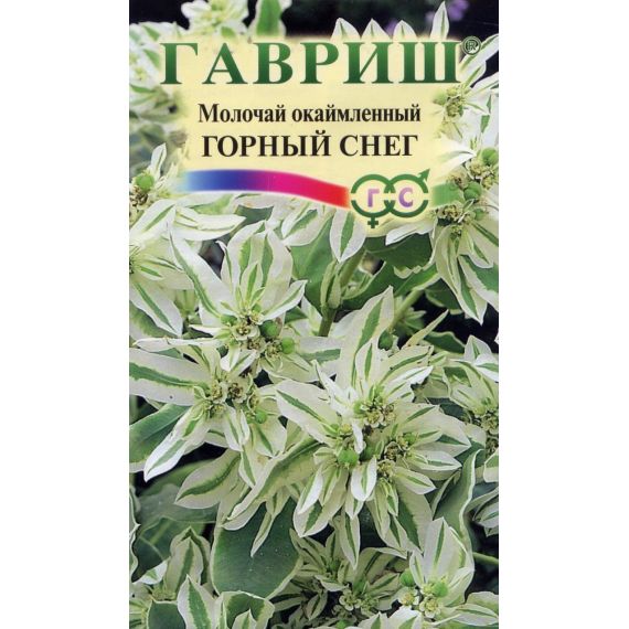 Семена ГАВРИШ МАЛОЧАЙ Горный снег