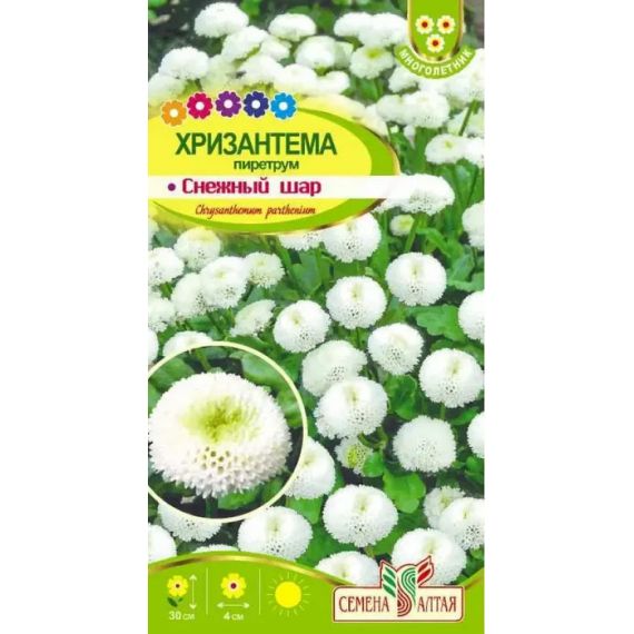 Семена Алтая Хризантема пиретрум Снежный шар 0,01г