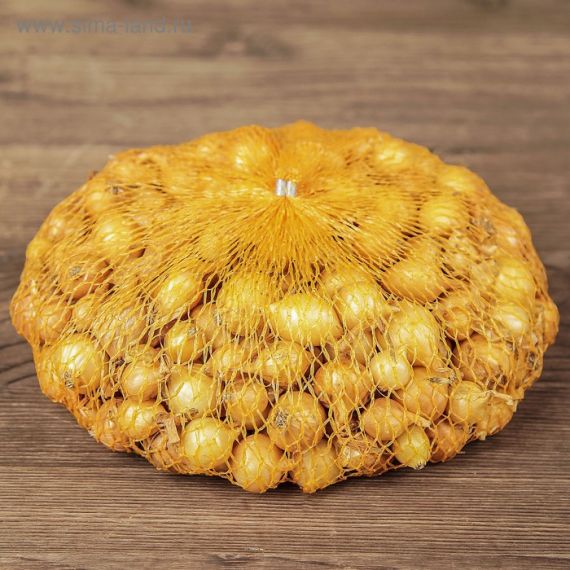 Лук-севок Штуттгартер 14-21мм 0,5кг  #