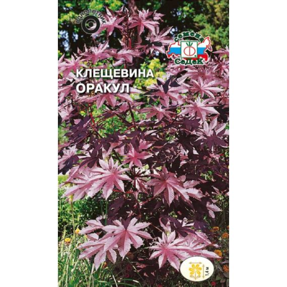 Семена СеДеК Клещевина обыкновенная Оракул 1г