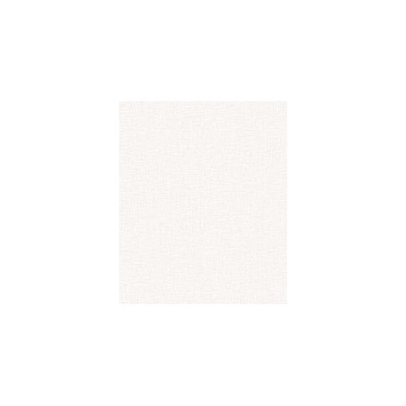 Обои винил 266-05  ЭЛИС ФОН 0,53*10м пудр.