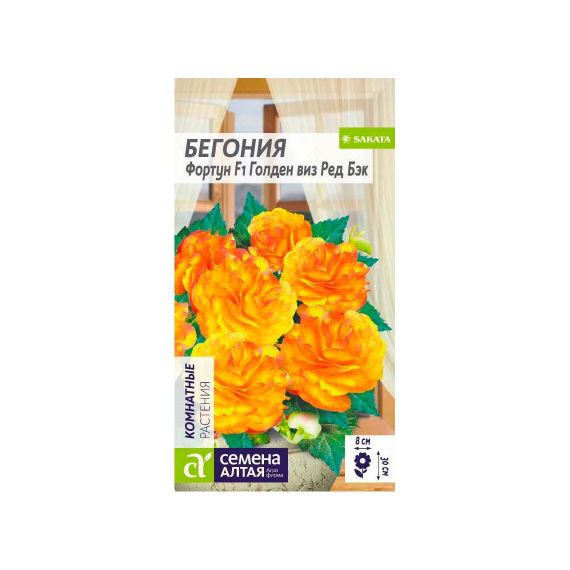 Семена Алтая Бегония Фортун F1 Голден виз Ред Бэк 5шт