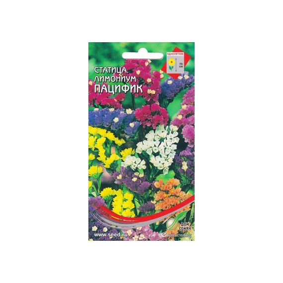 Семена Дом Семян Статица (лимониум) Пацифик 30шт смесь
