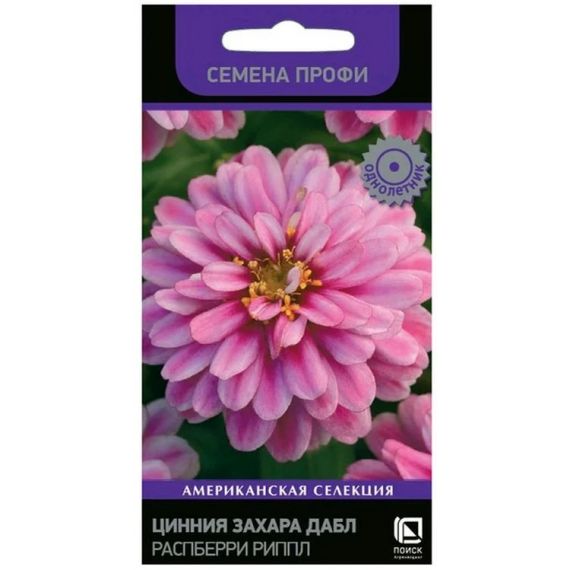 Семена Поиск Цинния Захара Дабл Распберри Риппл 5шт