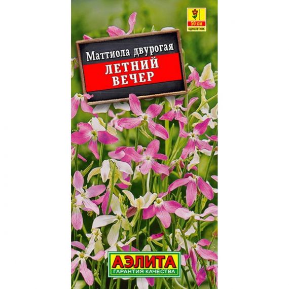 Семена Аэлита Маттиола двурогая Летний вечер 1г