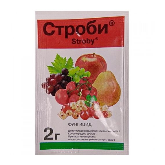 Строби 2 г