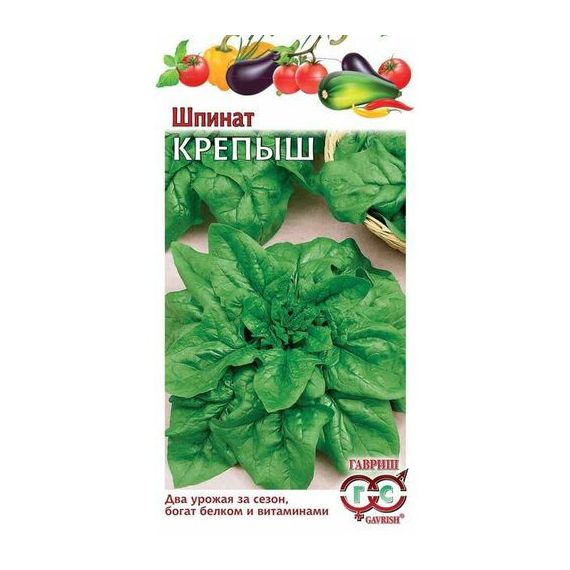 Семена ГАВРИШ ШПИНАТ КРЕПЫШ 2г