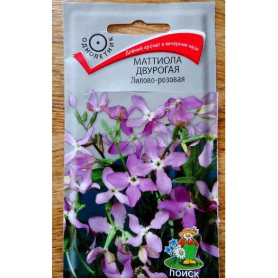 Семена Поиск Маттиола двурогая Лилово-розовая 0,3г