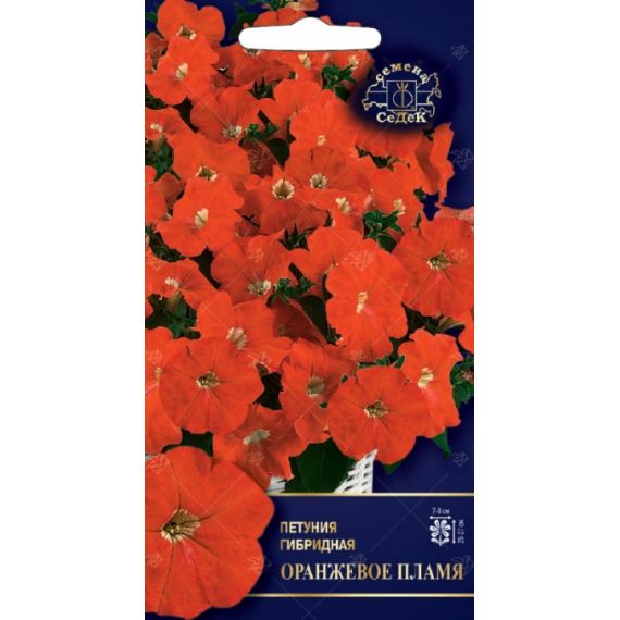 Семена СеДеК Петуния гибридная Оранжевое пламя 5шт