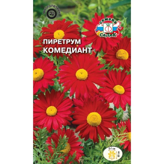 Семена СеДеК Пиретрум гибридный Комедиант 0,1г