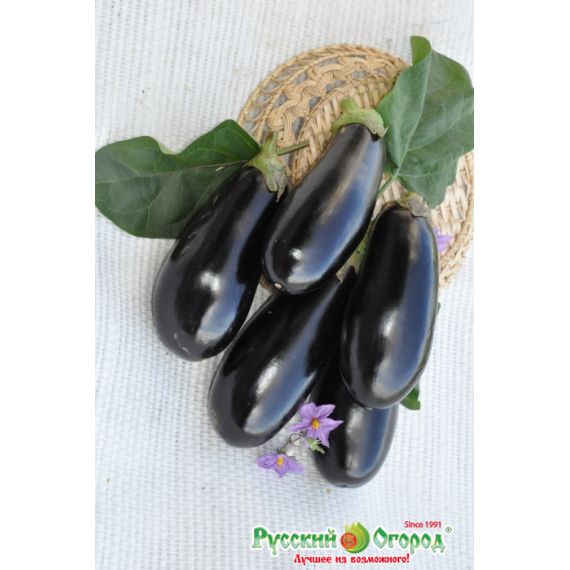 Семена РУССКИЙ ОГОРОД Баклажан Альбатрос 0,3г 304913
