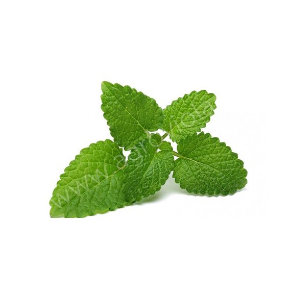 Семена АСТ Мелисса лекарственная Лимончелло 10шт