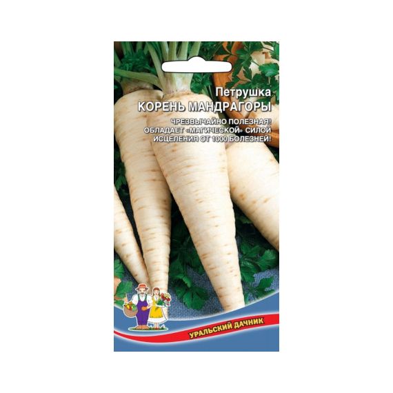 Семена Уральский Дачник Петрушка корневая Корень Мандрагоры 2г