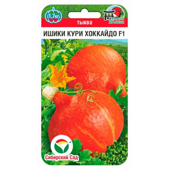 Семена Сибирский Сад Тыква Ишики Кури Хоккайдо F1 3шт