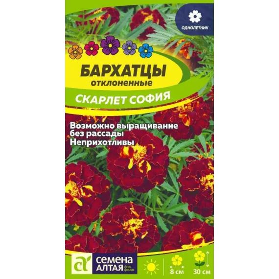 Семена Алтая Бархатцы отклоненные Скарлет София 0,2г
