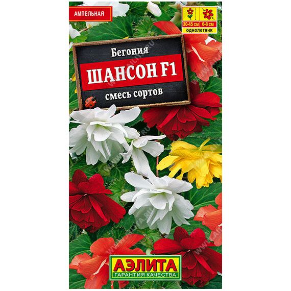 Семена Аэлита Бегония Шансон F1 10шт смесь сортов